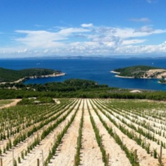 Obrázek editujete kliknutím