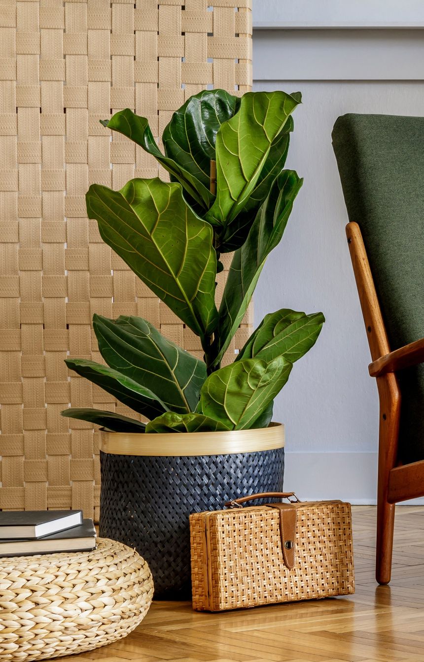 Obrázek editujete kliknutím