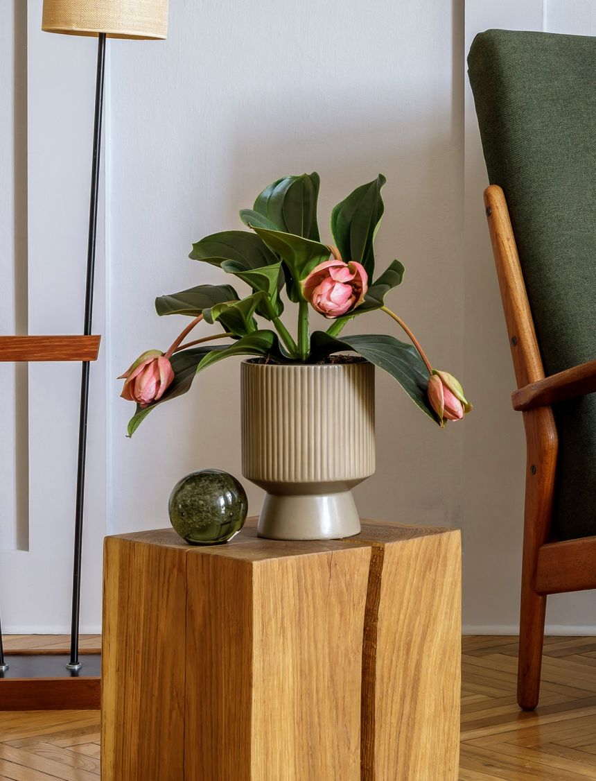 Obrázek editujete kliknutím