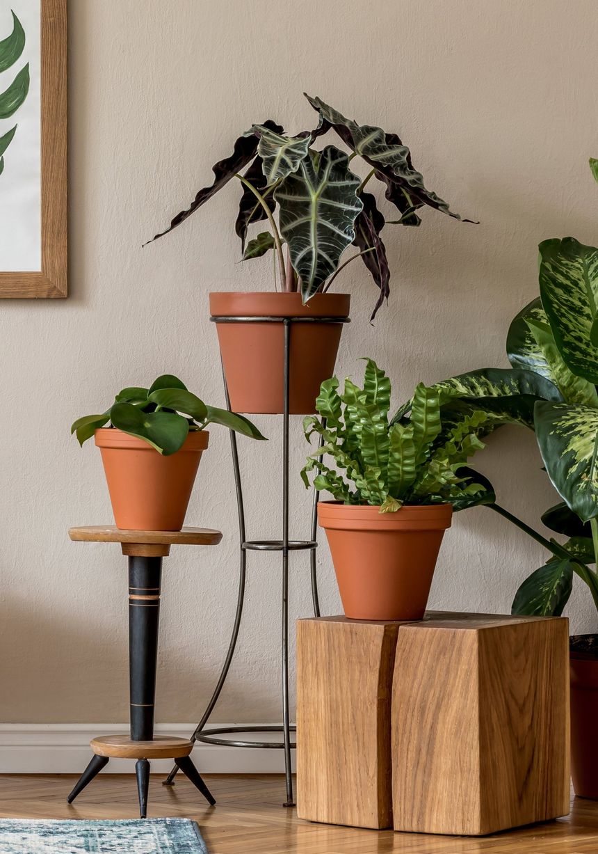 Obrázek editujete kliknutím