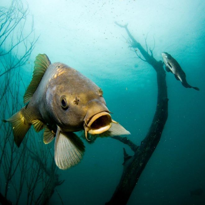 Obrázek editujete kliknutím