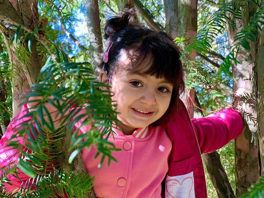 Obrázek editujete kliknutím