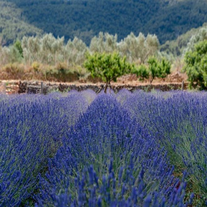 Obrázek editujete kliknutím