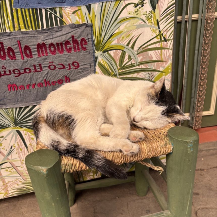 Obrázek editujete kliknutím