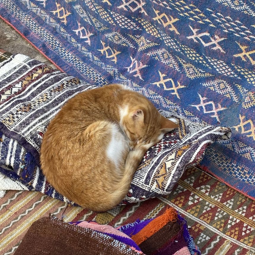 Obrázek editujete kliknutím