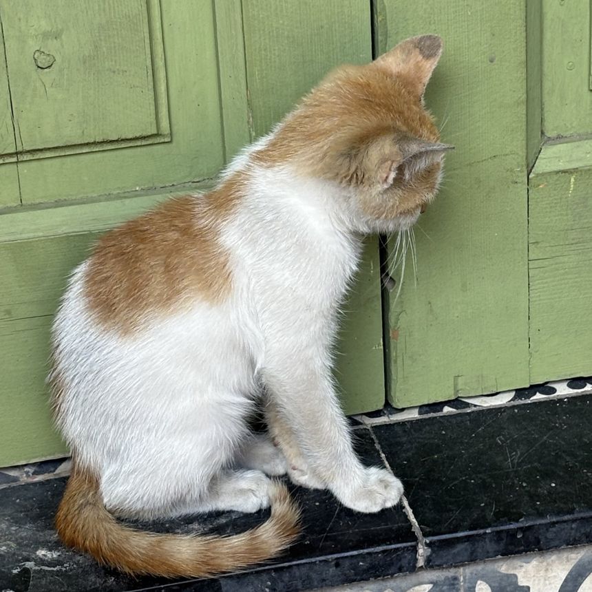 Obrázek editujete kliknutím