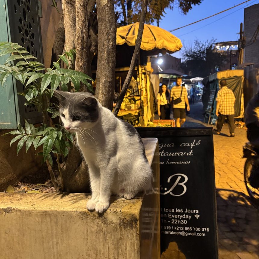 Obrázek editujete kliknutím