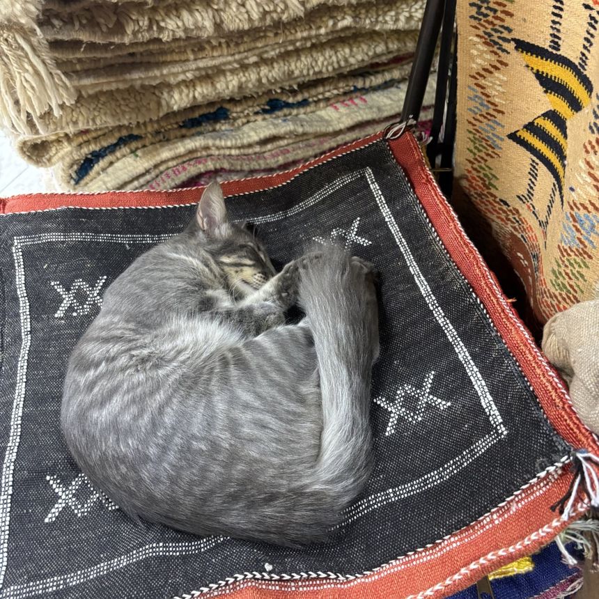 Obrázek editujete kliknutím