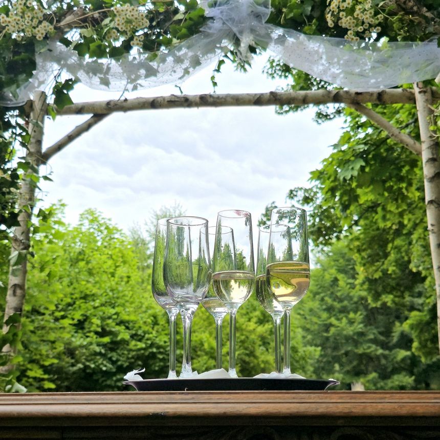 slavnostní přípitek