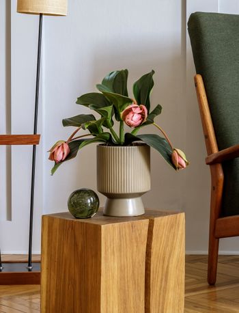 Obrázek editujete kliknutím