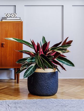 Obrázek editujete kliknutím